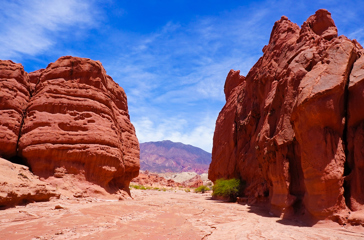 argentina - argentina_cafayate_04