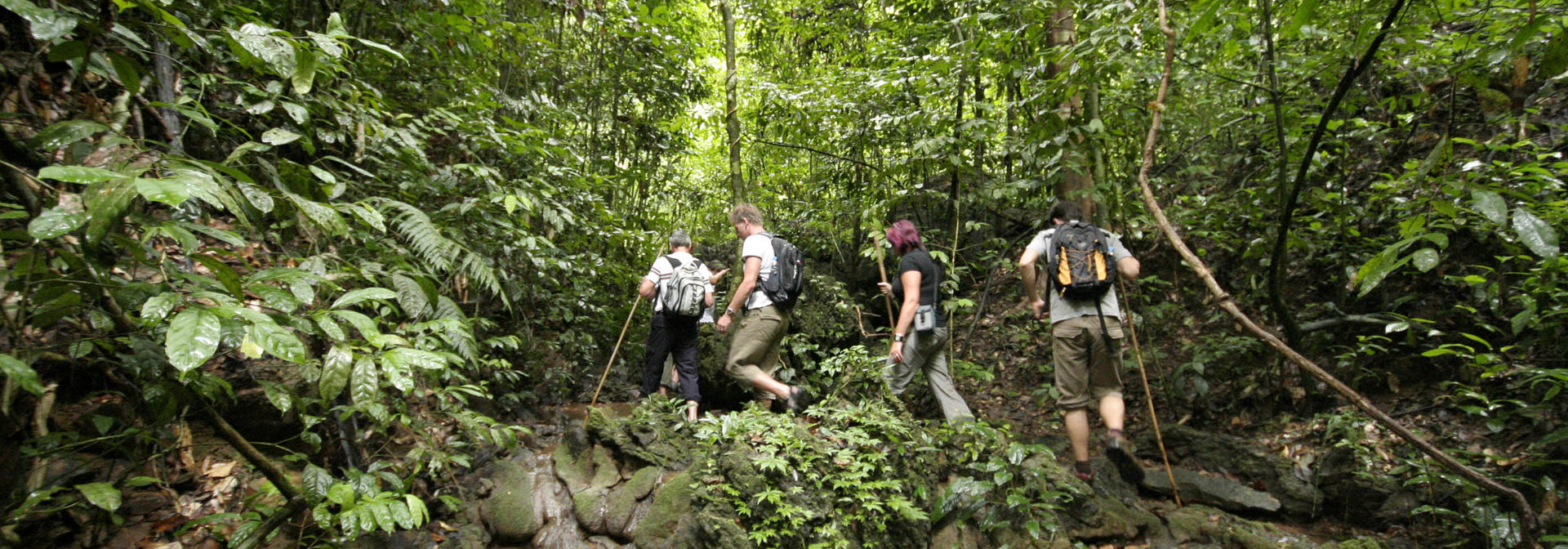 thailand - khao sok nationalpark_trekking_03