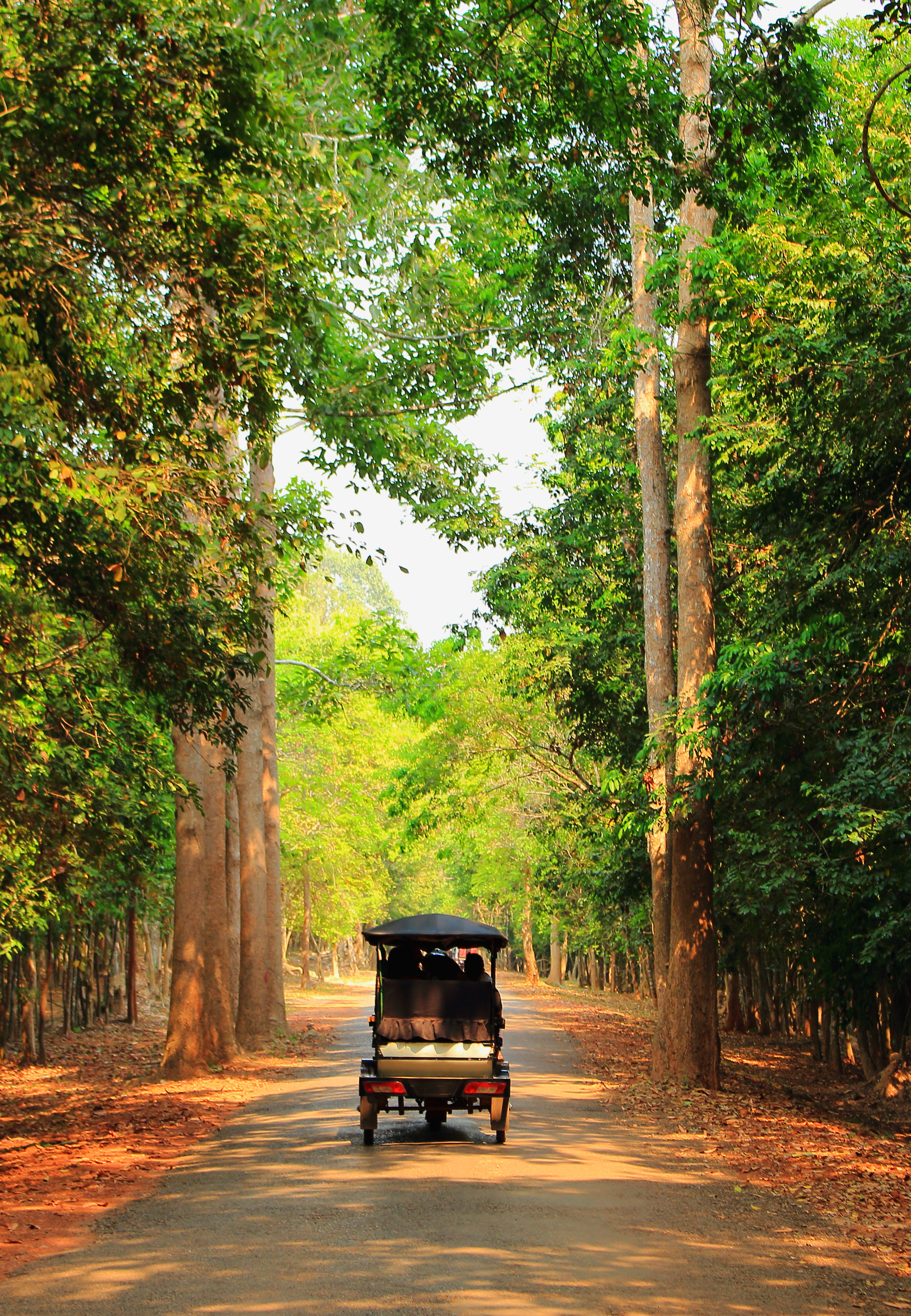 rickshaw-tur_AS_216565618