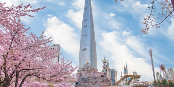 Sydkorea Seoul Lotte World Forlystelsespark Seokchon Lake Kirsebærtræer Marts April