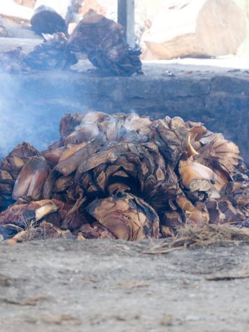 Oaxaca Matatlan Agaver I Traditionel Ovn 1508816378