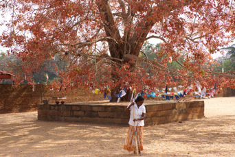 sri lanka - anuradhapura_abhayagiri_dogaba_01