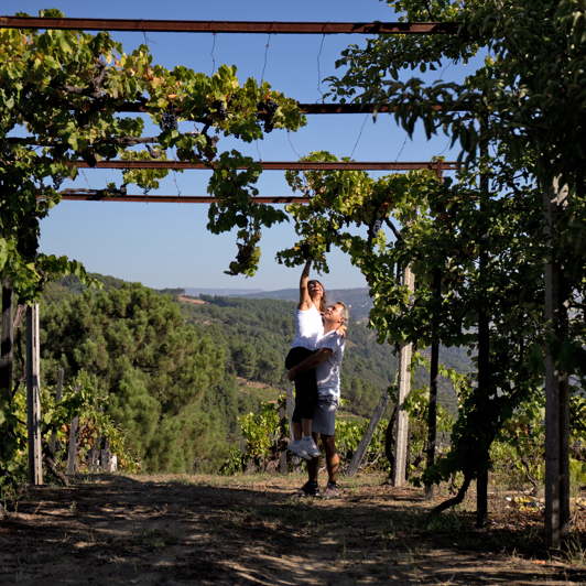 Douro_vin_01