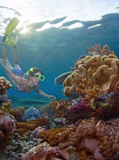 bali - bali_snorkling_01