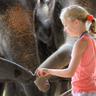 thailand - khao sok elephant hills_07