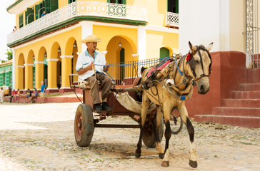 cuba - trinidad_hestevogn_02