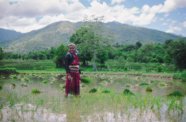 burma - kengtung_hoejland_01