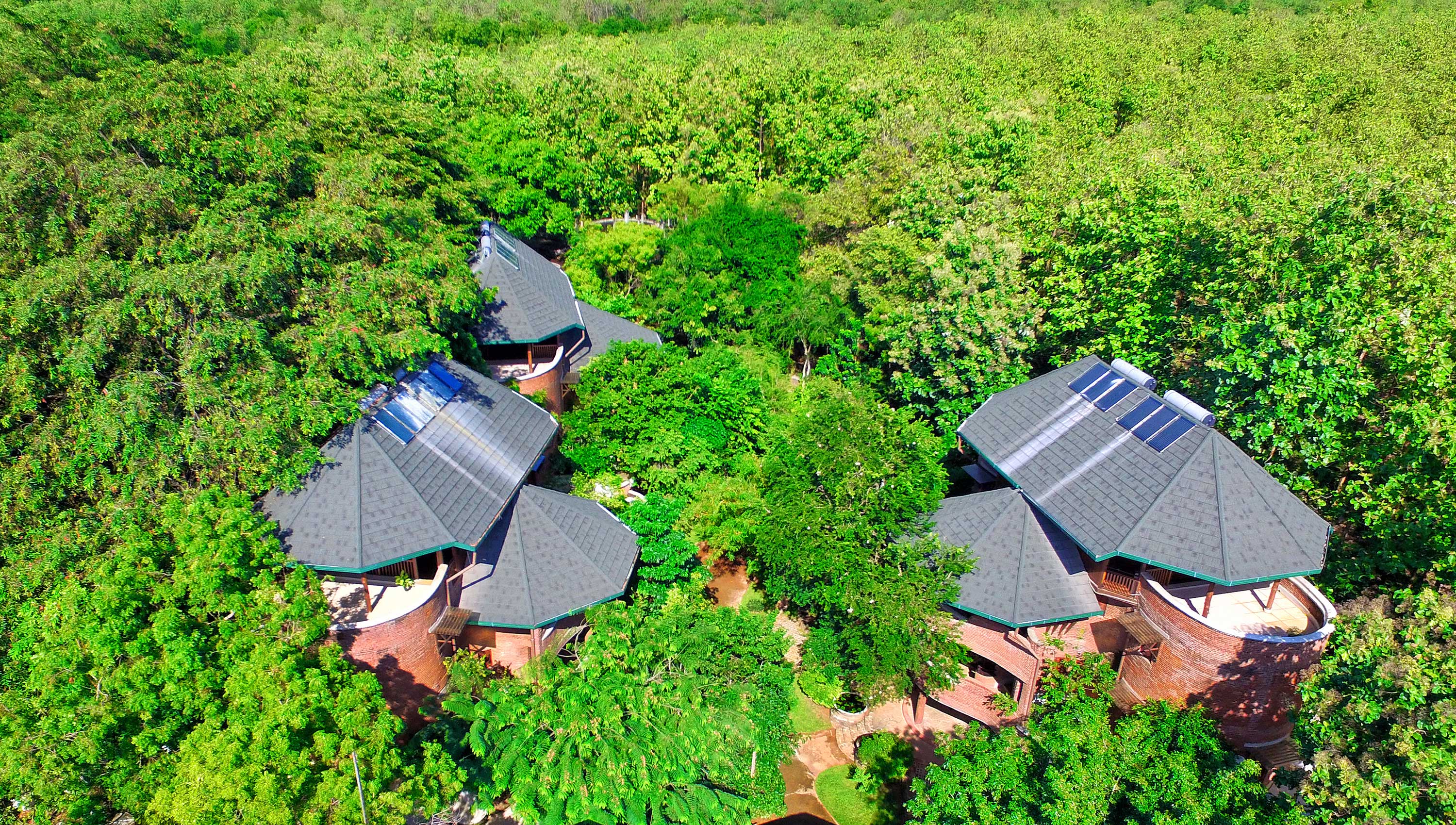Building Covered In Canopy