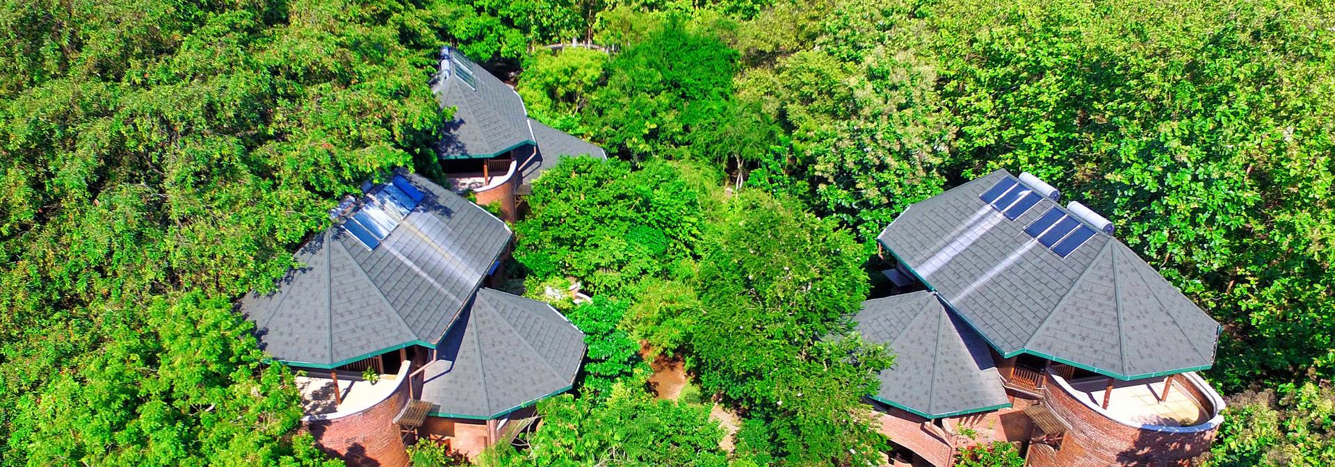 Building Covered In Canopy