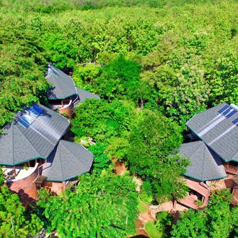 Building Covered In Canopy