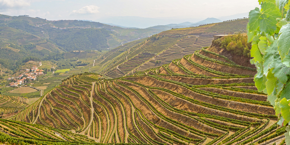 Douro_13