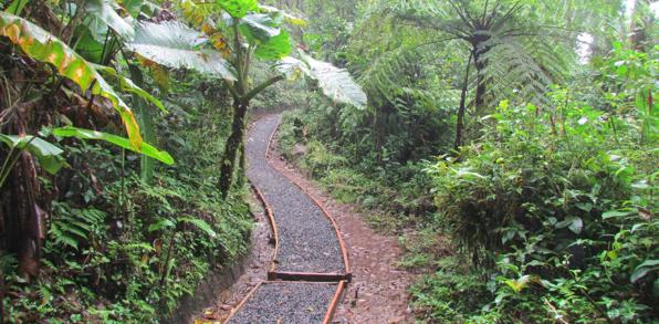 costa rica - santa elena cloud forest