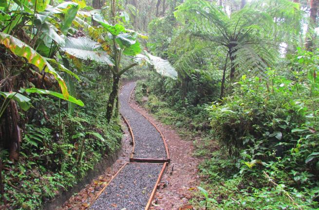 costa rica - santa elena cloud forest