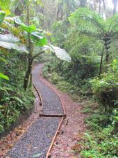 costa rica - santa elena cloud forest