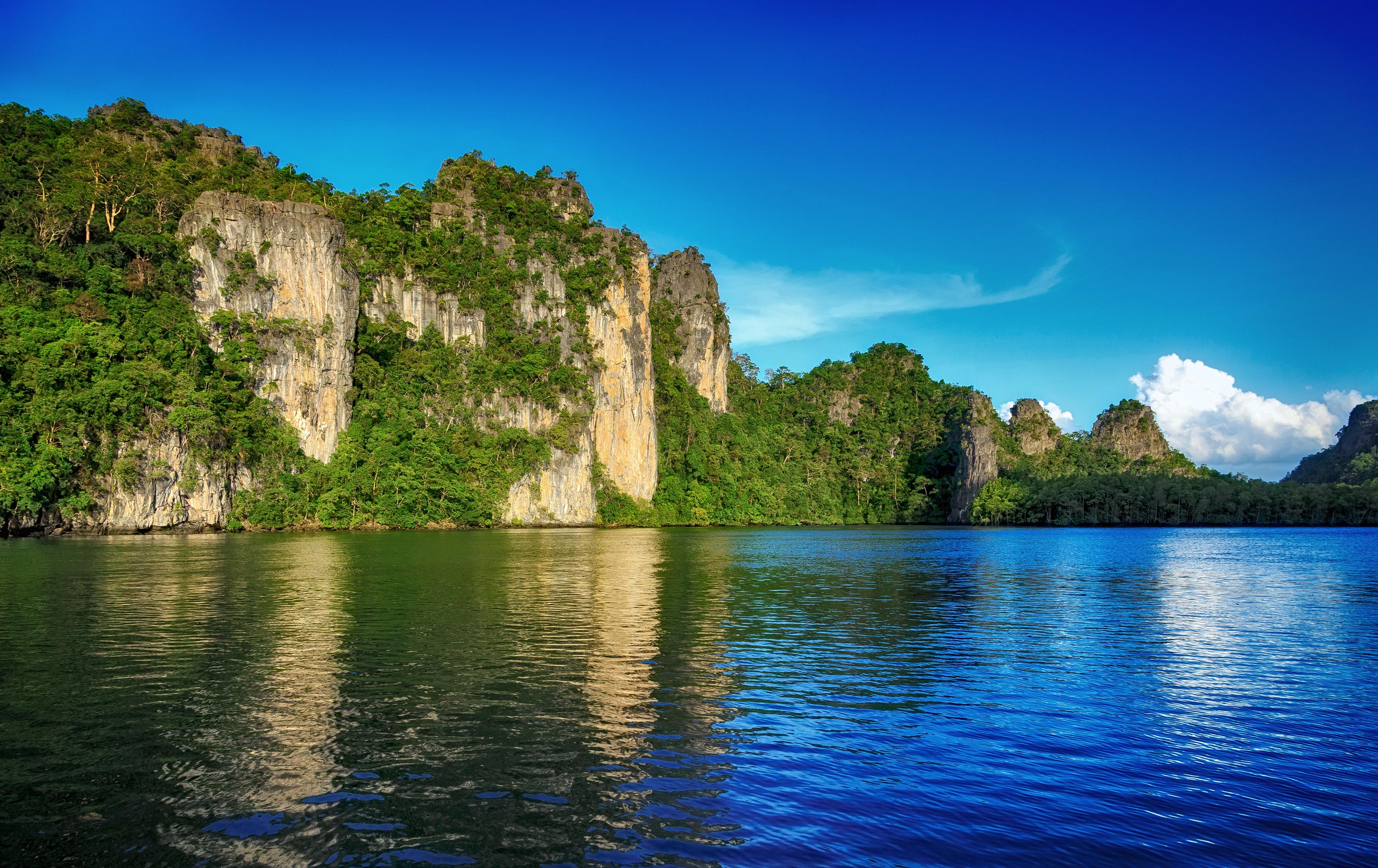 malaysia/borneo - langkawi_mangrove_trae_01