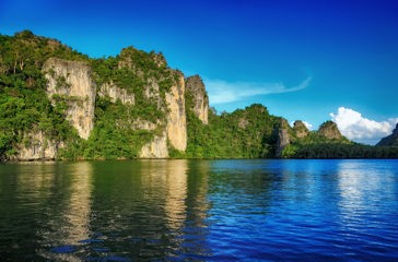 malaysia/borneo - langkawi_mangrove_trae_01