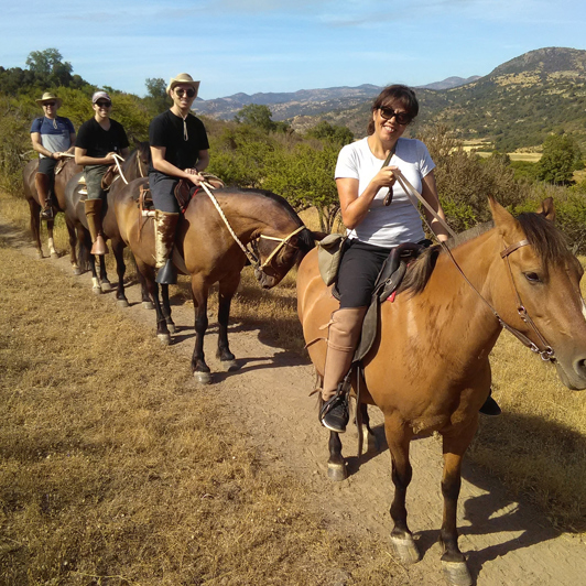 chile - colchagua dalen_hesteridning_01