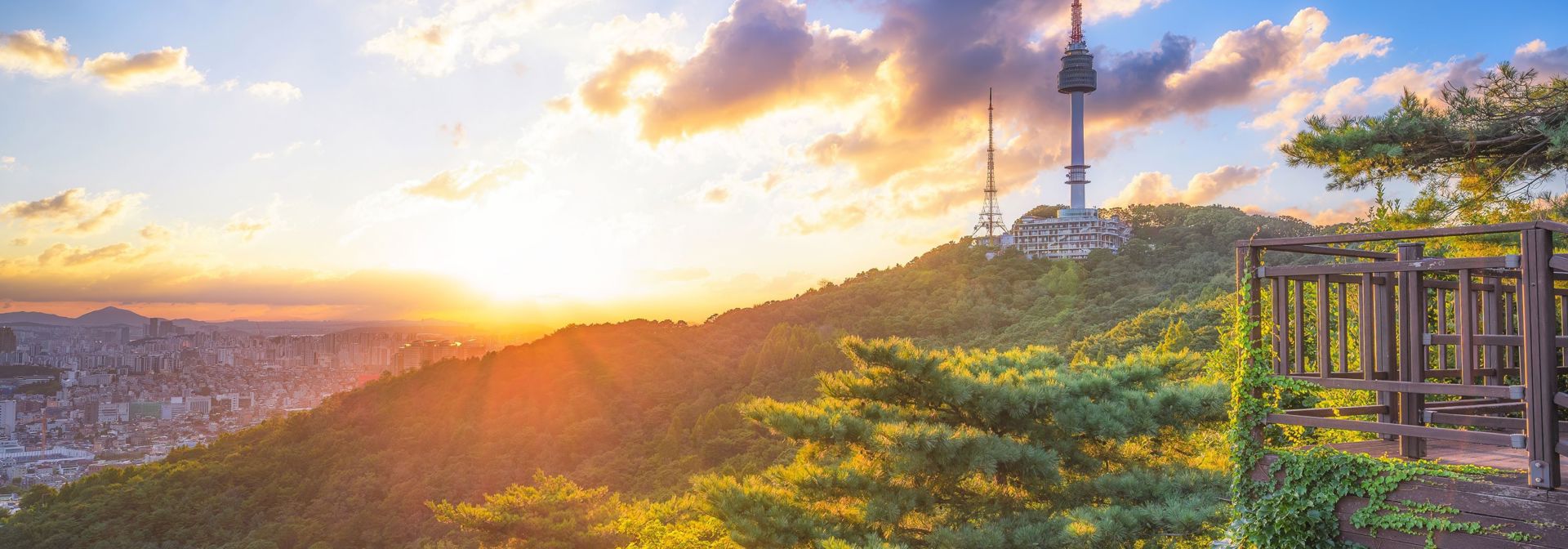 Seoul N Seoul Tower 2496905125