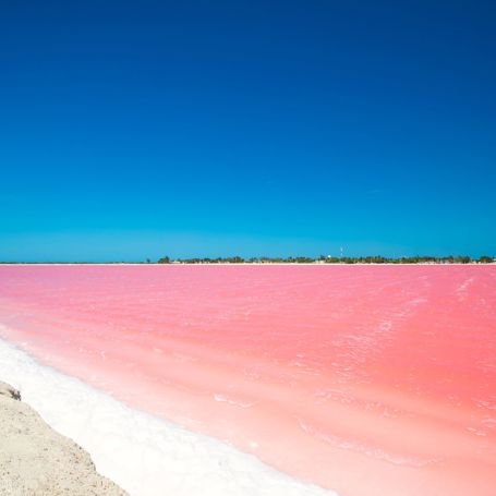 Merida Las Coloradas Den Lyserøde Lagune 1913492941