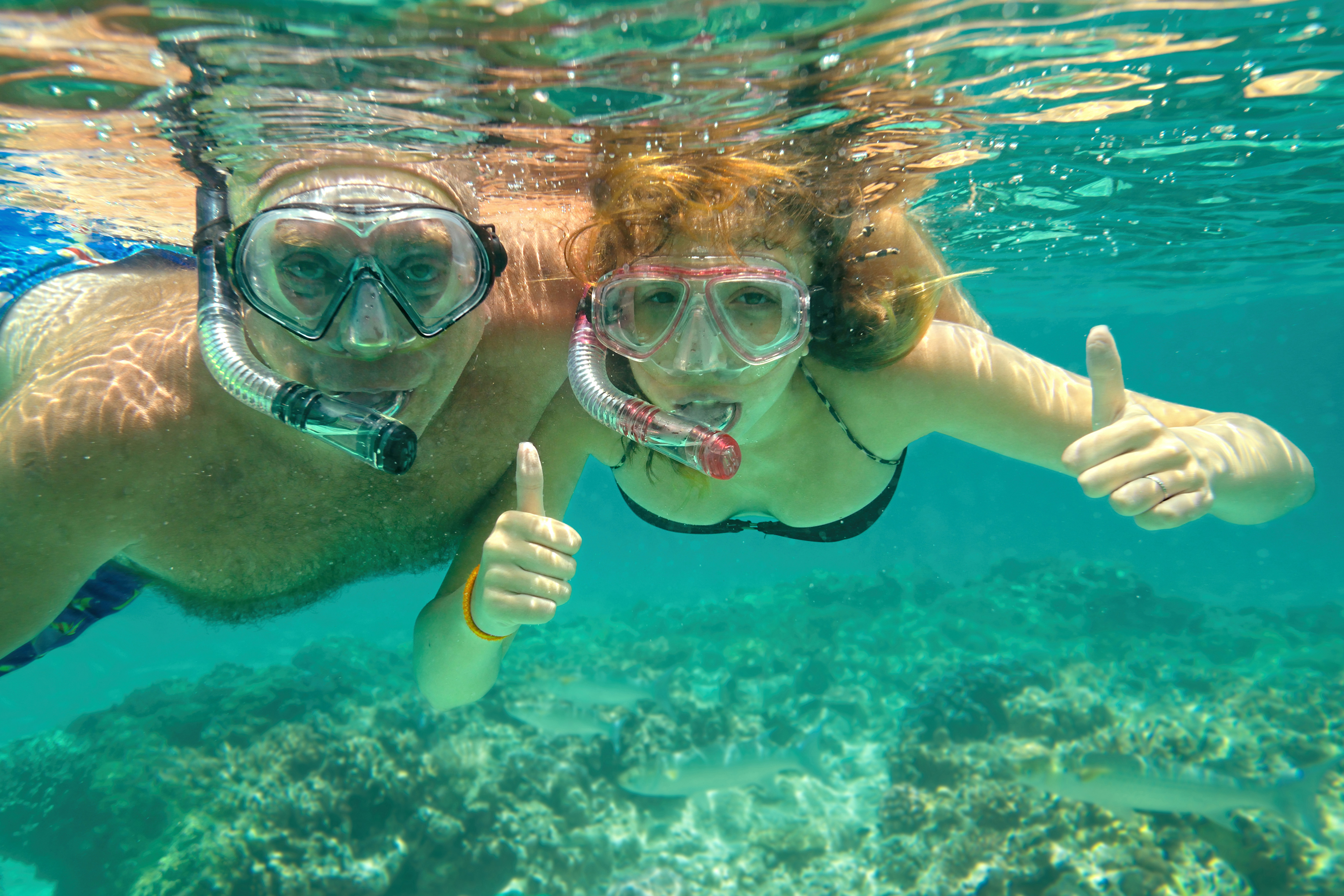 Par der snorkler i Thailands klare vand