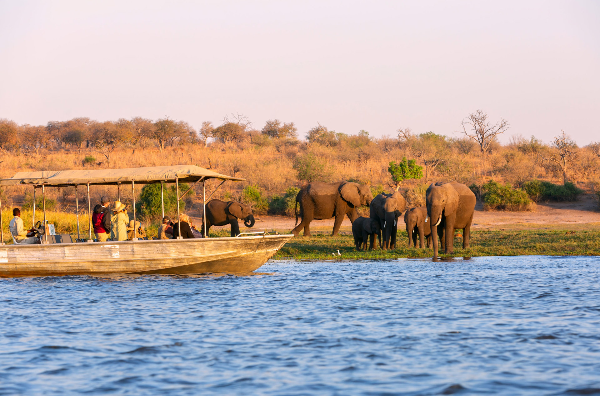 Chobe National Park Bådtur