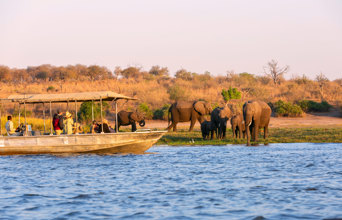 Chobe National Park Bådtur