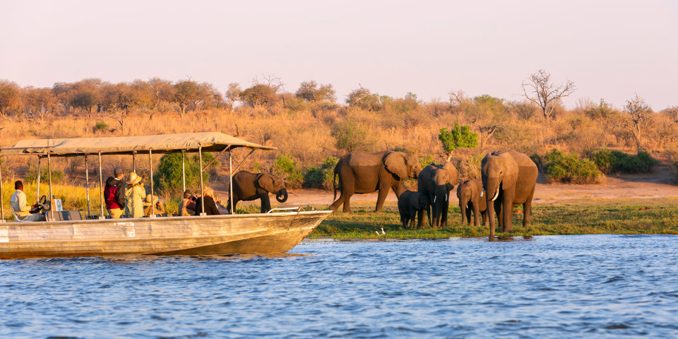 Chobe National Park Bådtur
