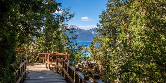 Bosque De Arrayanes01