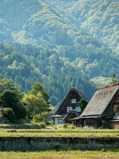 Shirakawago Village 02