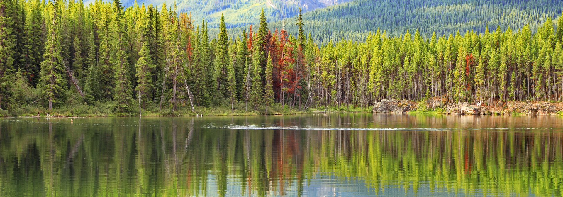 canada - jasper national park_soe_01