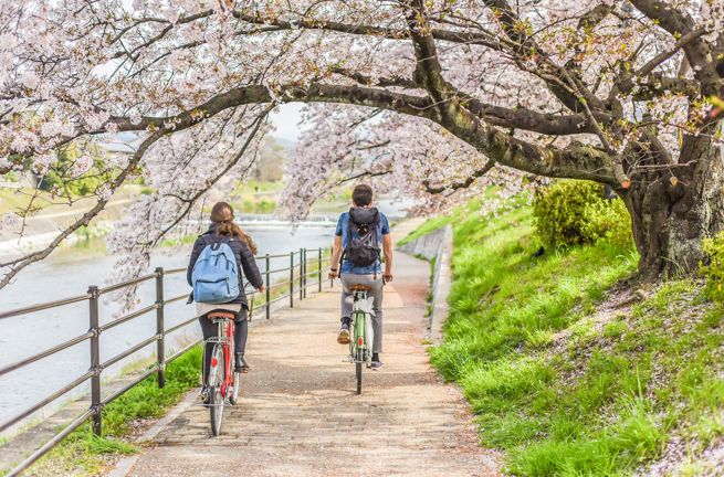 Cykling I Kyoto 1278484027