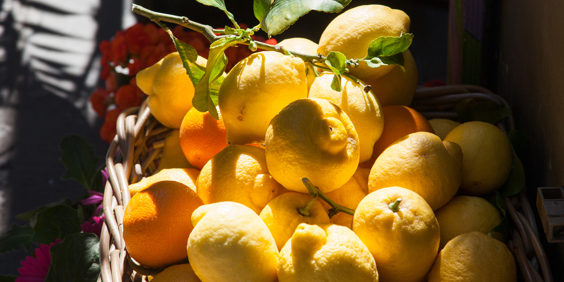 maiori_amalfi kysten_citron_05