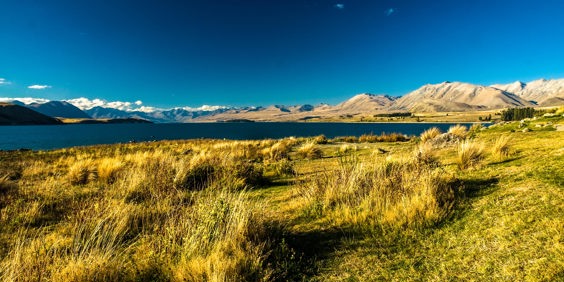 new zealand - lake tekapo_01