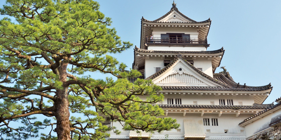 japan - kochi_borg_01