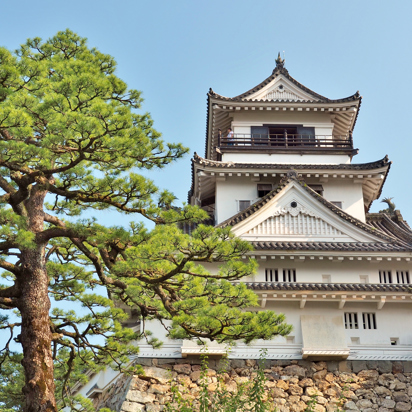 japan - kochi_borg_01