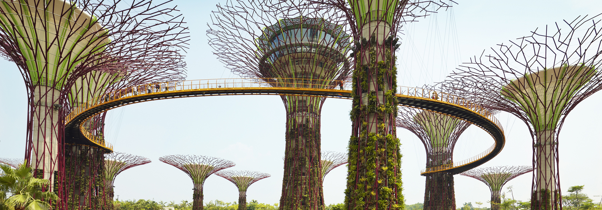 singapore - singapore_supertree grove_02