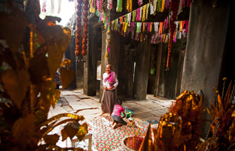 colombia - siem reap_ta prohm temepl_mand_01