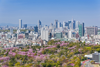 Vi begynder med et par dage i metropolen Tokyo