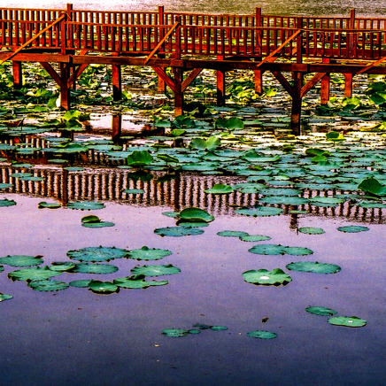 burma - yangon_kandawgyi lake_01