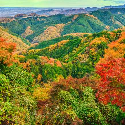 Mount Takao Udsigt GI 1445273599