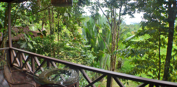 sepilok forest edge resort_standard chalet_terasse_01