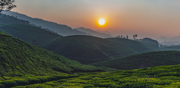 Munnar05