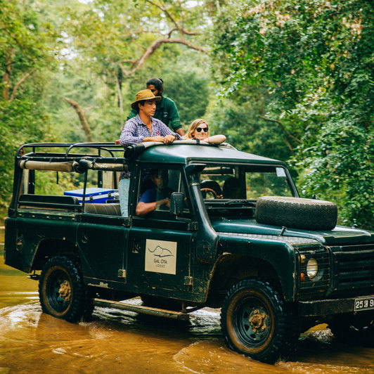 4Wd Jeep Safari