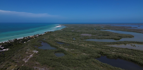 Udsigt Over Isla Holbox Mangrove