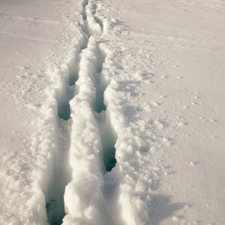 Kangerlussuaq_snespor_01