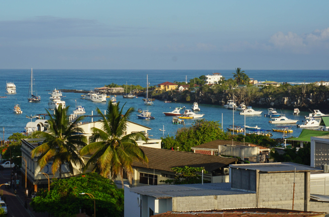 Galapagos_Santa Cruz_Puerto Ayora_02