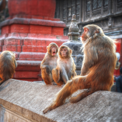 nepal - nepal_kathmandu_abetempel_02