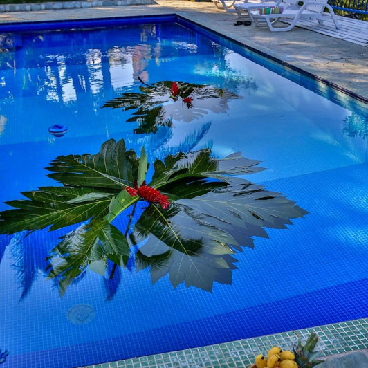 Villa Maria Tayrona Pool 02