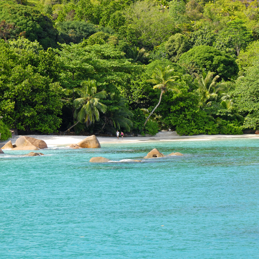 seychellerne - praslin_anse lazio_05