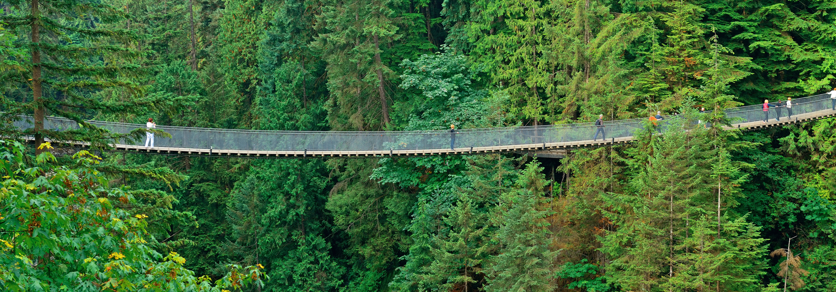 canada - vancouver_capilano_04